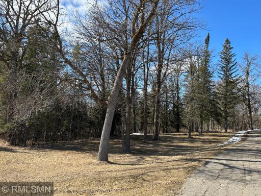 22841 Hwy 71 NE, 22841/22843, Hines, MN 56647