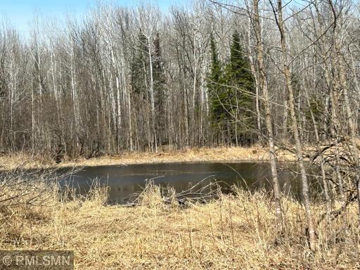 22841 Hwy 71 NE, 22841/22843, Hines, MN 56647