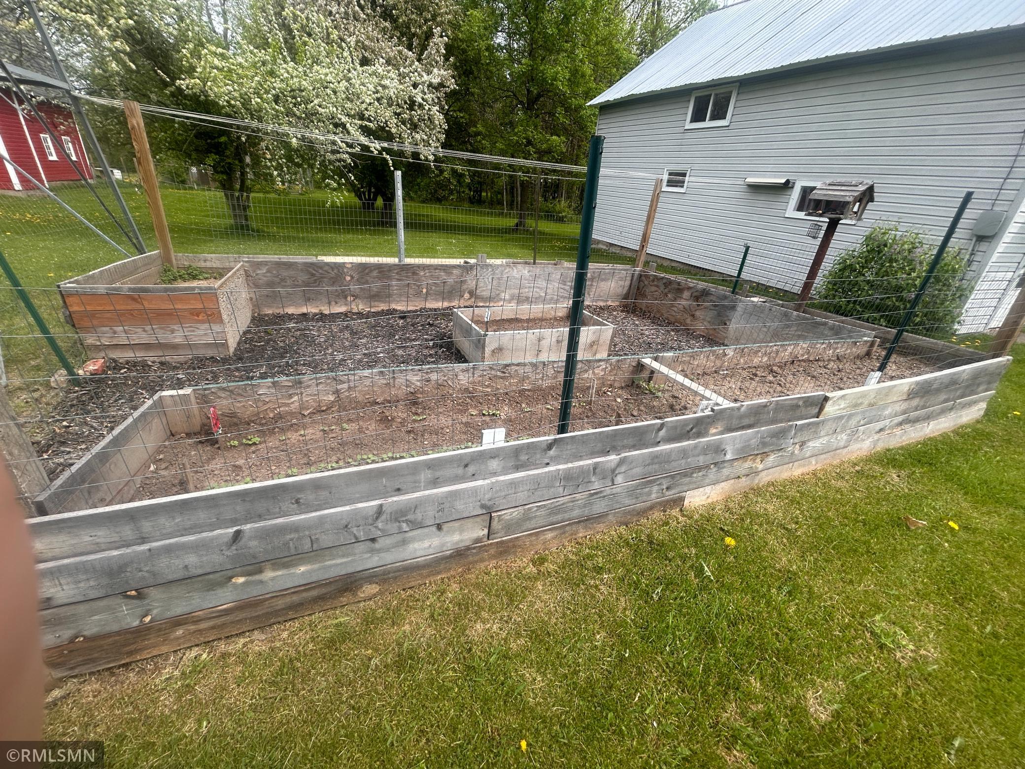 Veggies on the Rise