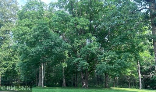 Beautiful Treed Yard with Shade and Sun!