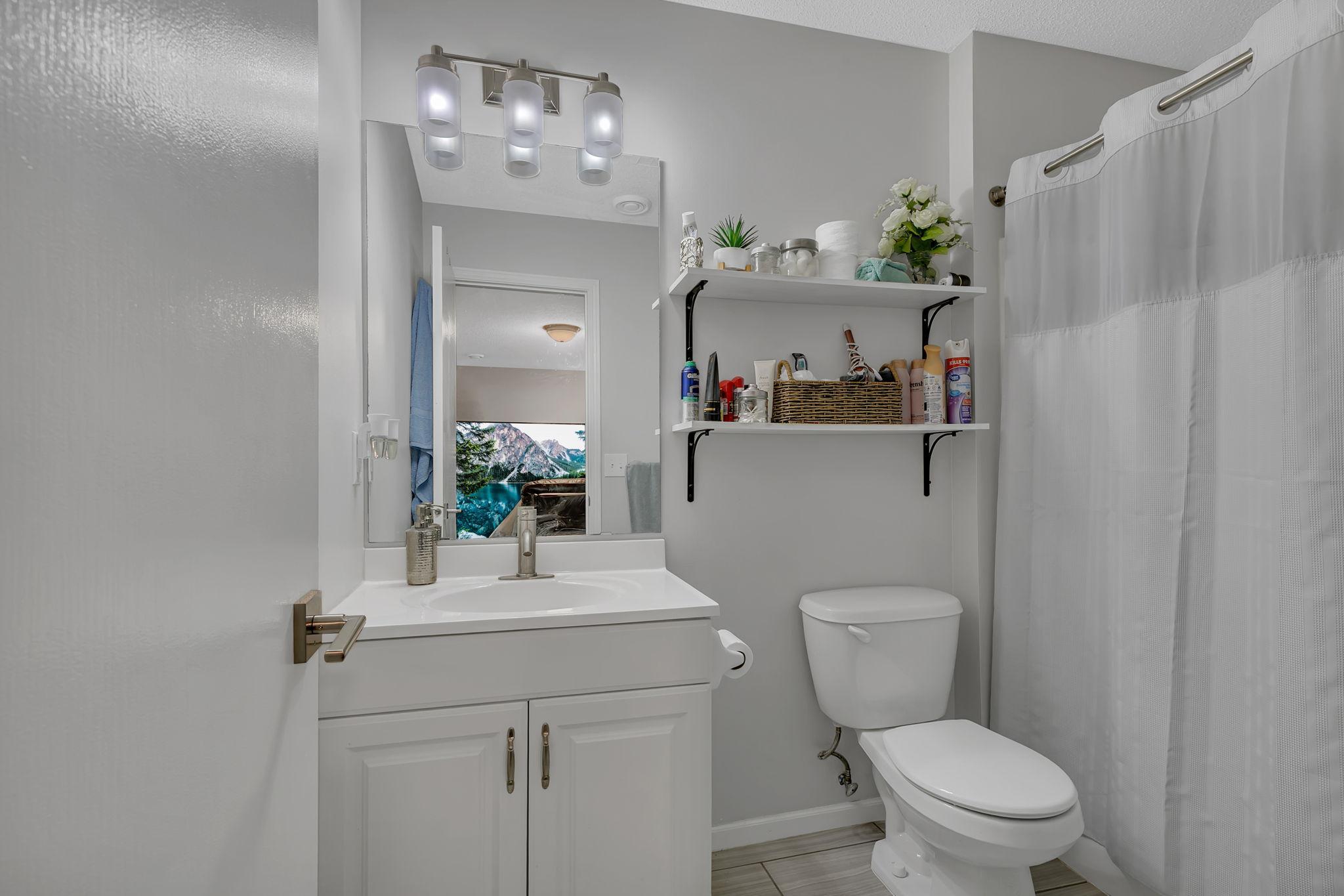 Lower level bathroom