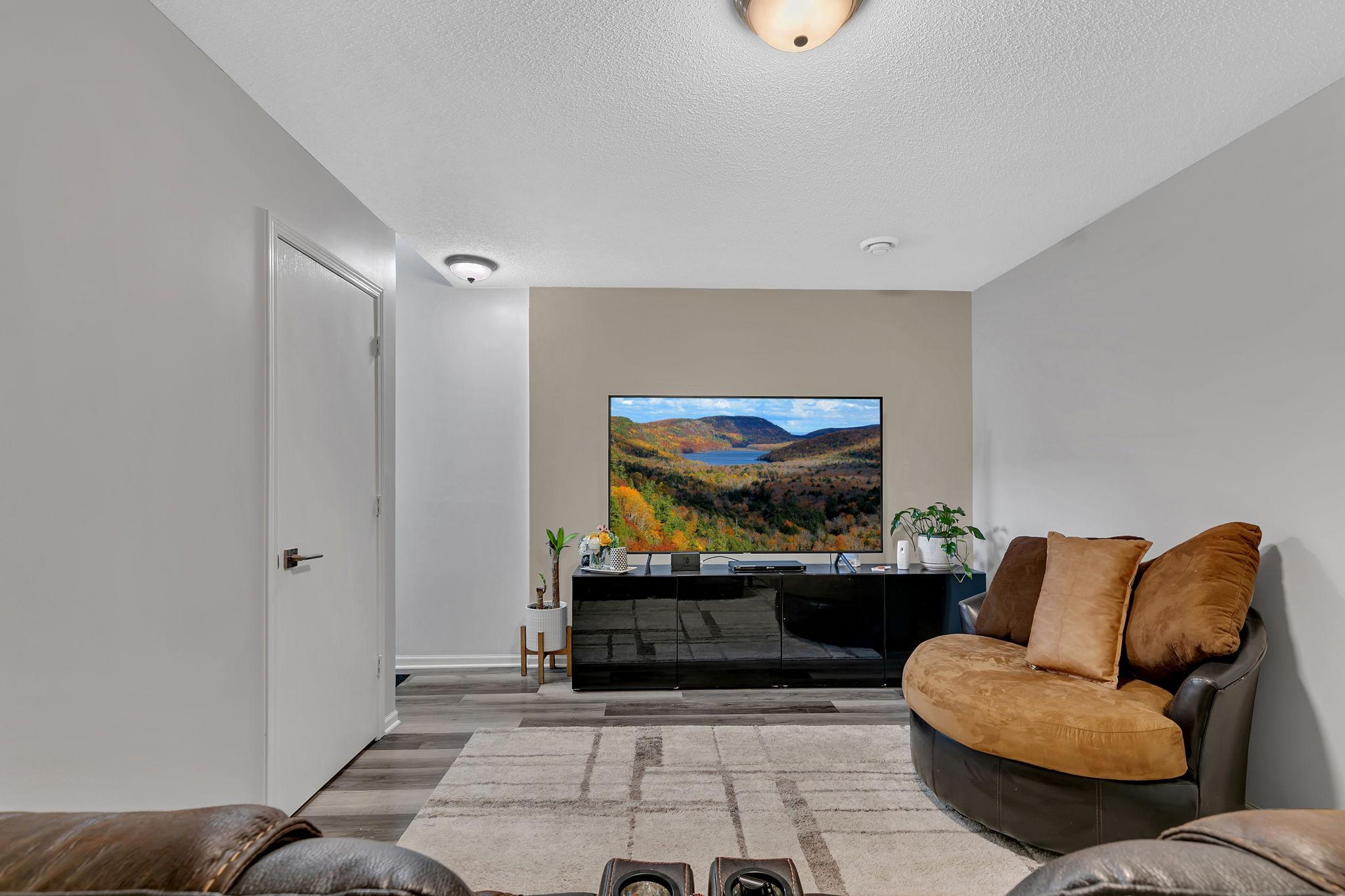 Lower level family room