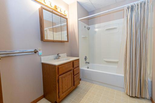 Lower Level Full Bath