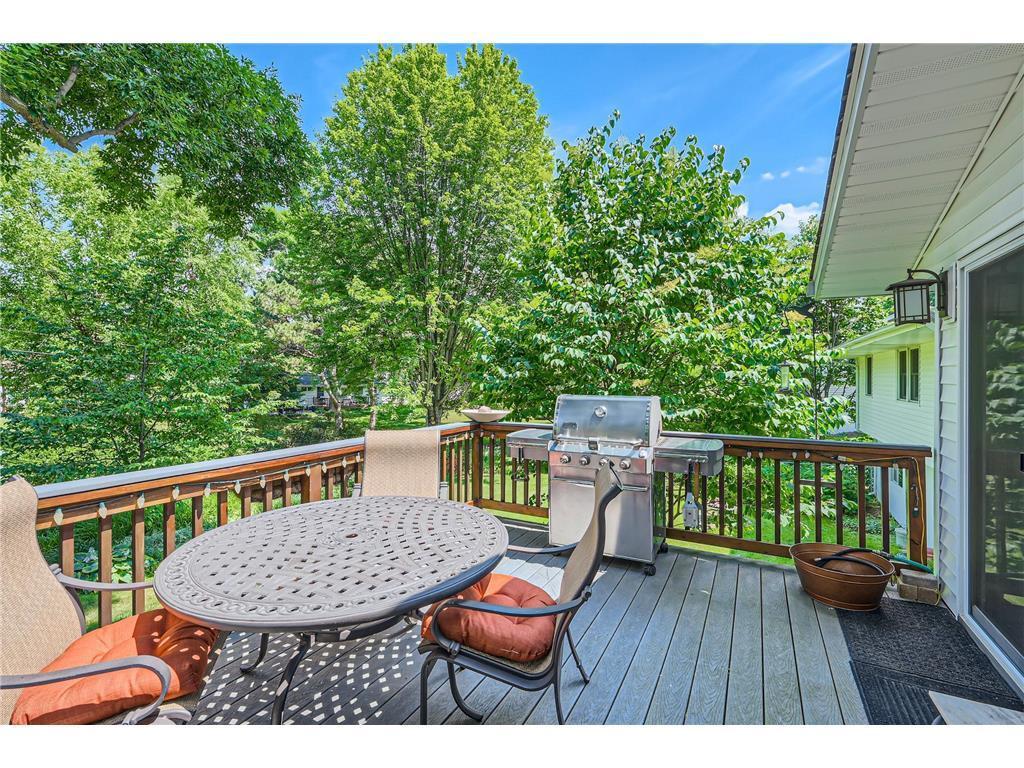 backyard.jpg