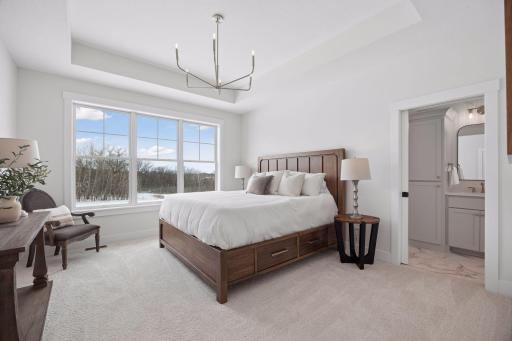 Primary bedroom with tray ceiling
