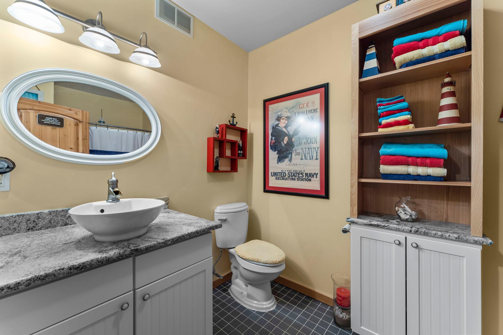 Lower level bathroom