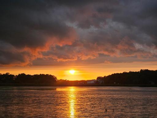 36365 654th Avenue, Watkins, MN 55389