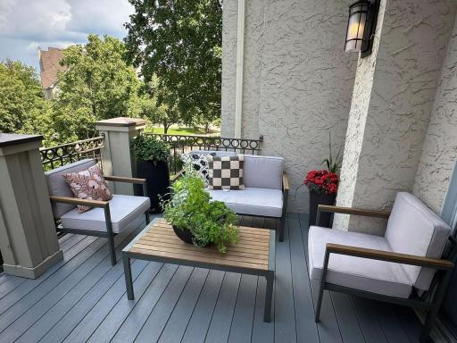 One of two decks. This one features composite decking, natural gas line, and stairs to rear yard.