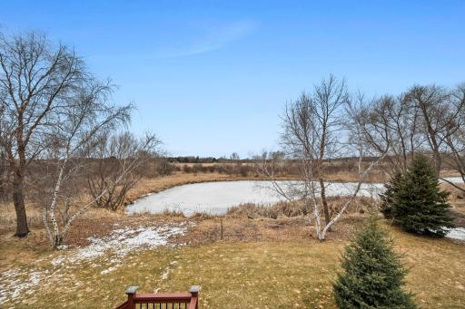 Views of the pond from the deck.