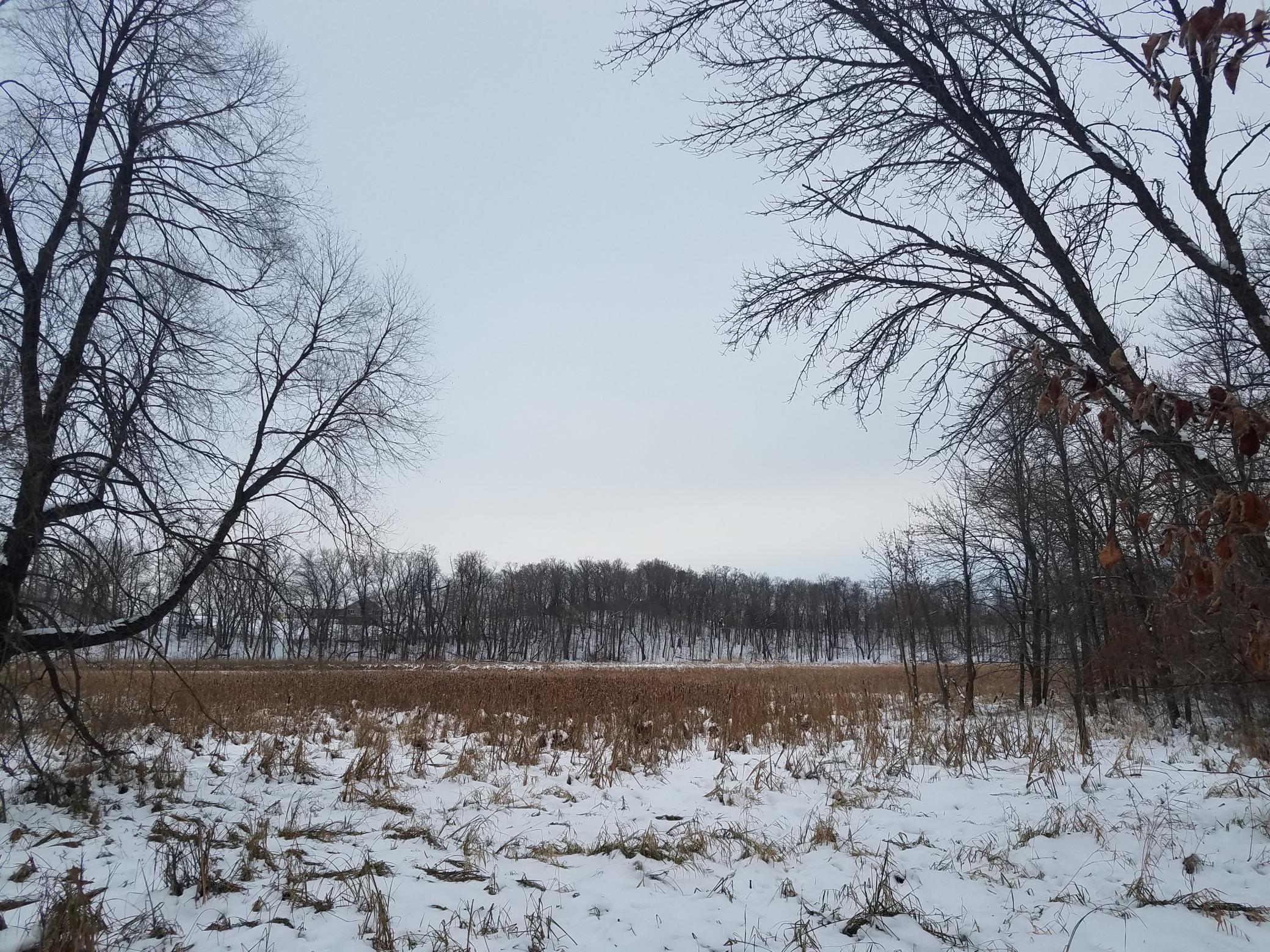 20201027_172307.jpg