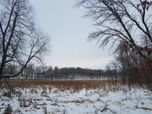 24793 Franklin Lake Road, Pelican Rapids, MN 56572