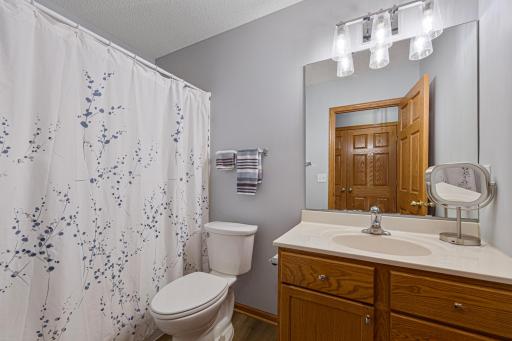 Guest bathroom with tub/shower combination