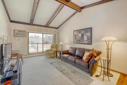 7340 York Ave S Unit 208 - Web Quality - 008 - 08 Living Room.jpg