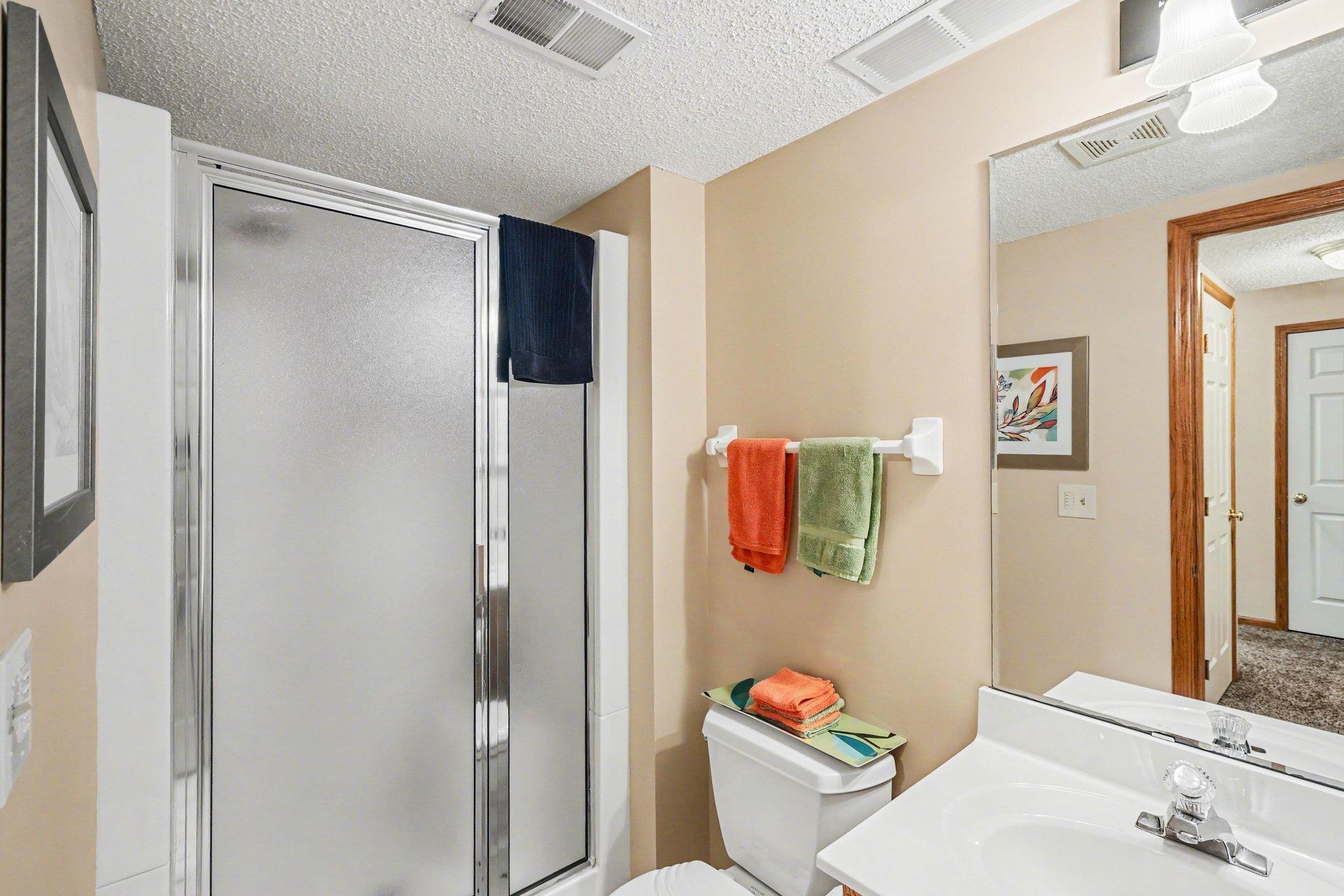 Lower Level Bathrooom.jpg