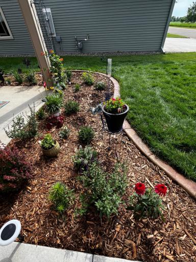 Concrete Edging & Perennials (Summer Picture)