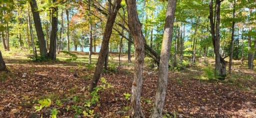 65770 Big Pine Road, Finlayson, MN 55735
