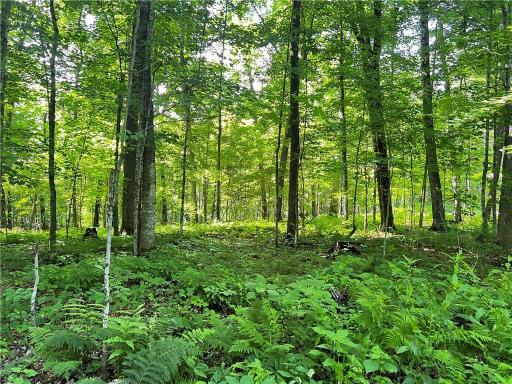 TBD Balsam Drive, Birchwood, WI 54817
