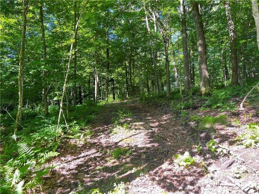 TBD Balsam Drive, Birchwood, WI 54817