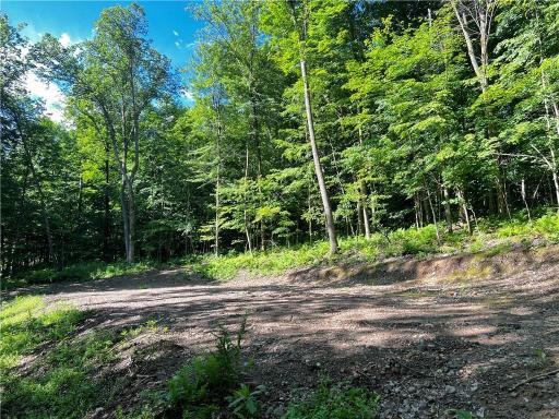 TBD Balsam Drive, Birchwood, WI 54817