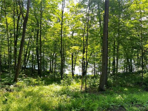 TBD Balsam Drive, Birchwood, WI 54817
