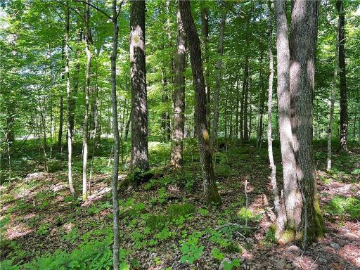 TBD Balsam Drive, Birchwood, WI 54817