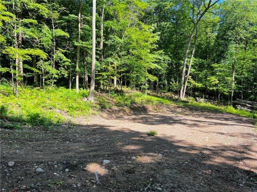 TBD Balsam Drive, Birchwood, WI 54817