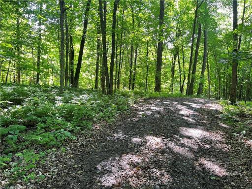 TBD Balsam Drive, Birchwood, WI 54817