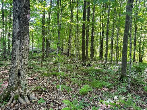 TBD Balsam Drive, Birchwood, WI 54817