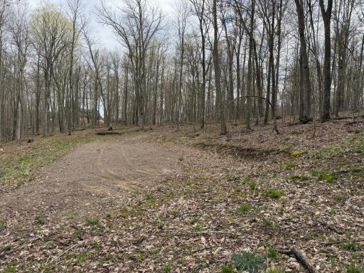 TBD Balsam Drive, Birchwood, WI 54817