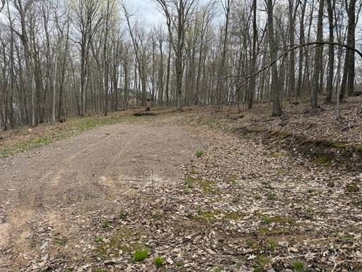 TBD Balsam Drive, Birchwood, WI 54817