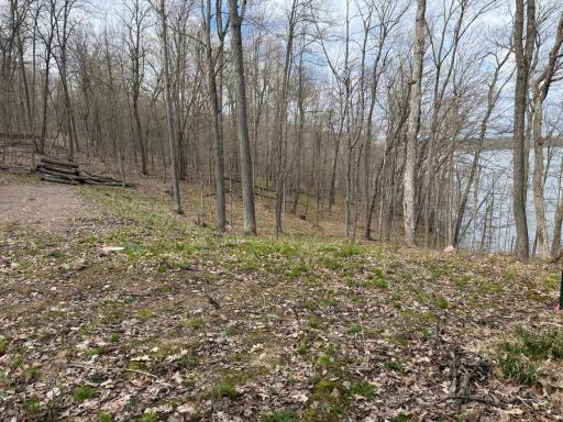 TBD Balsam Drive, Birchwood, WI 54817