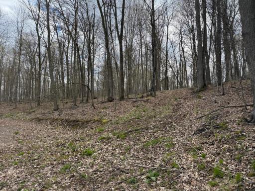 TBD Balsam Drive, Birchwood, WI 54817