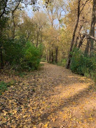 2011 2nd Avenue N, Minneapolis, MN 55405