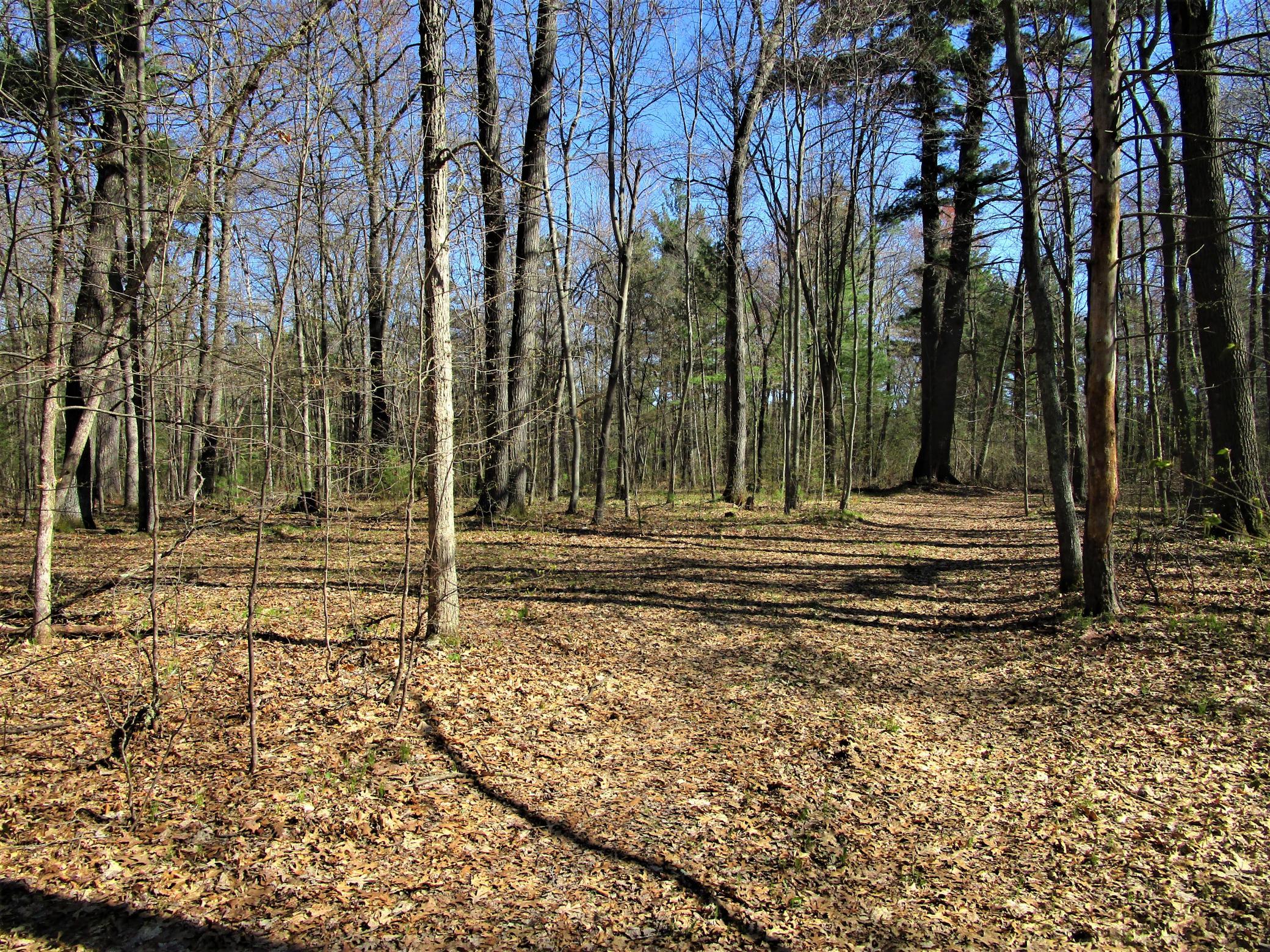 Trails through 6.67 acre parcel