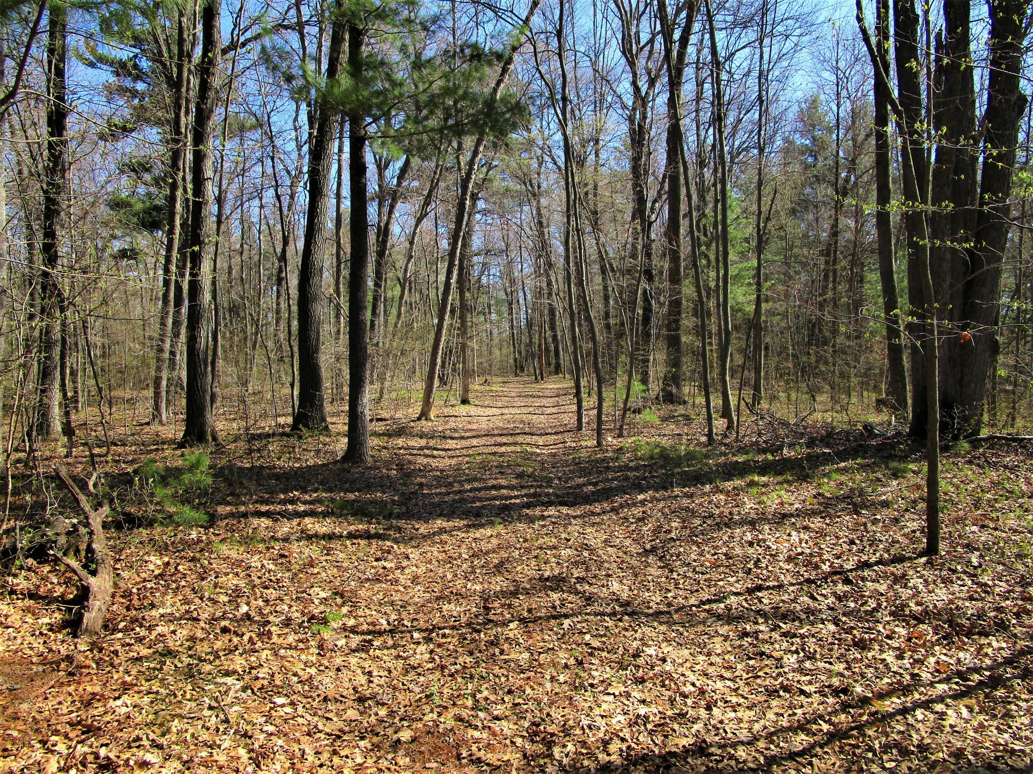6.67 acre parcel