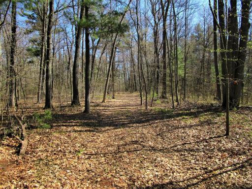 6.67 acre parcel