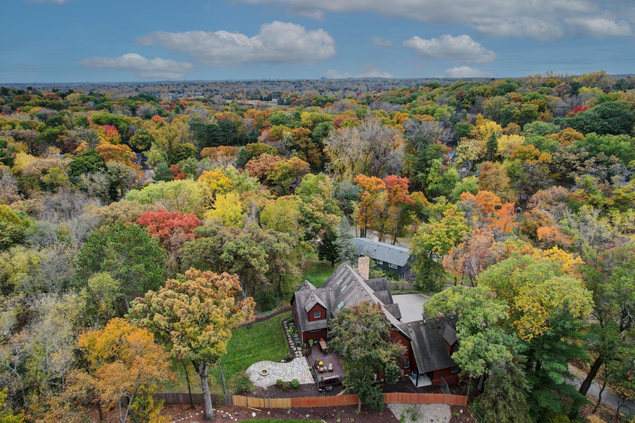 There is a stunning array of color in Sherwood Forest neighborhood every fall season
