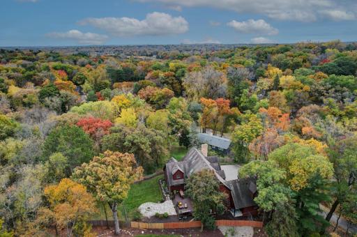 There is a stunning array of color in Sherwood Forest neighborhood every fall season