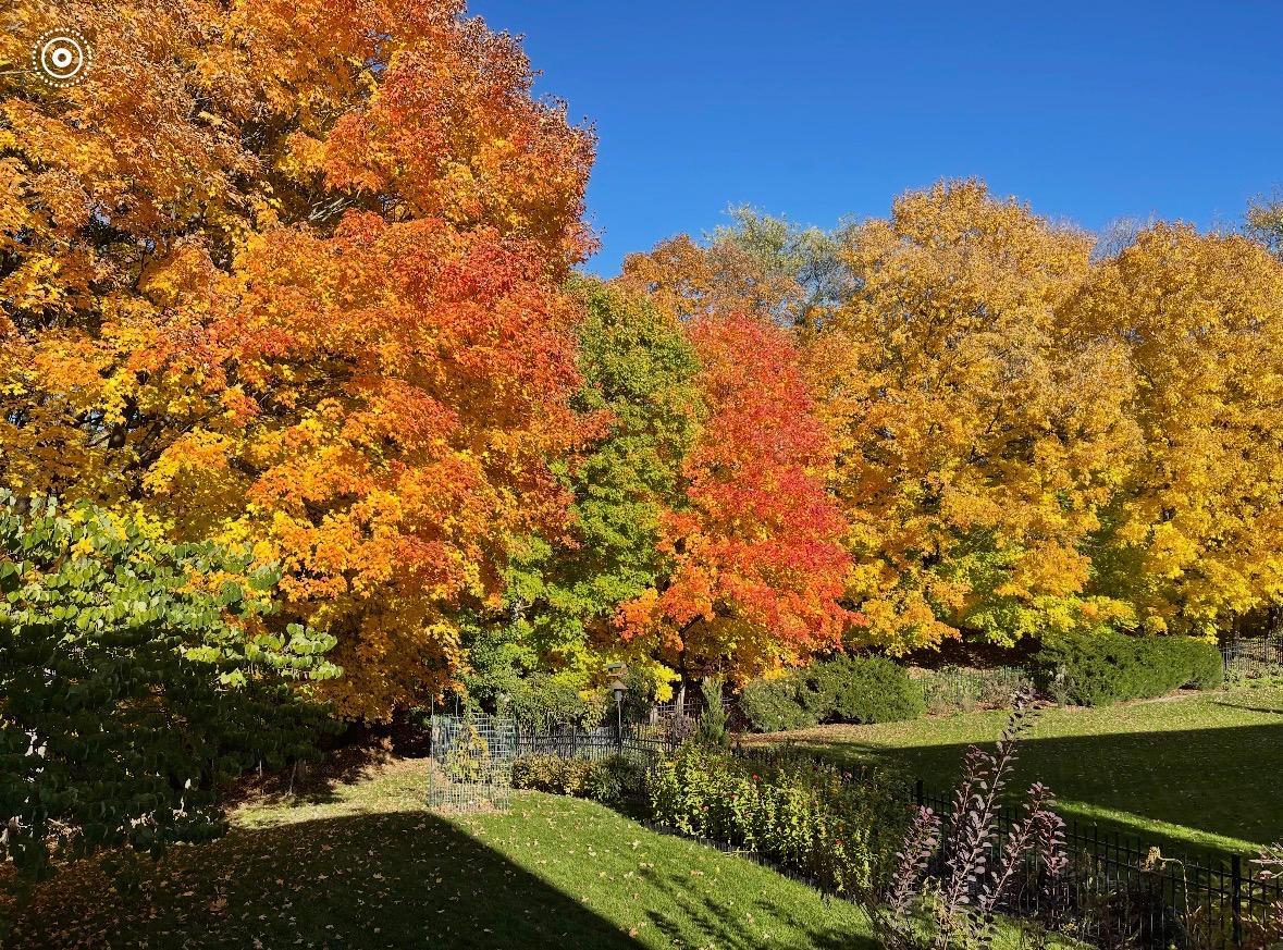Fall View