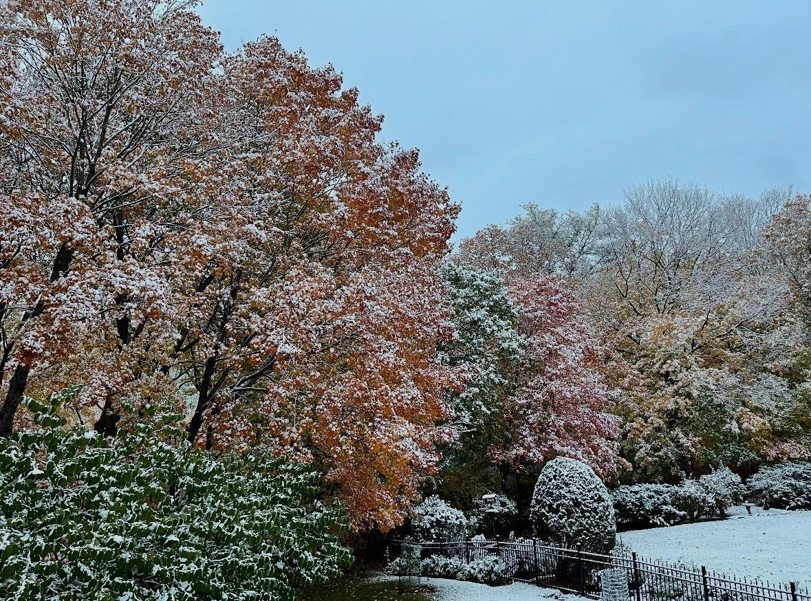 Fall / Winter View