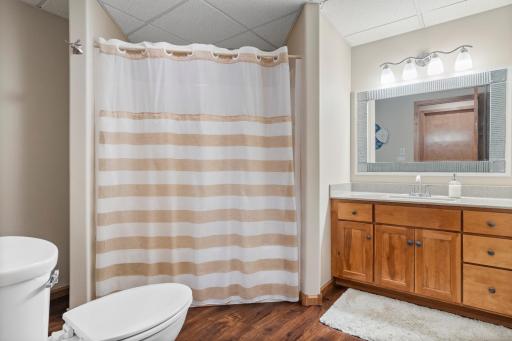 Lower level full bathroom