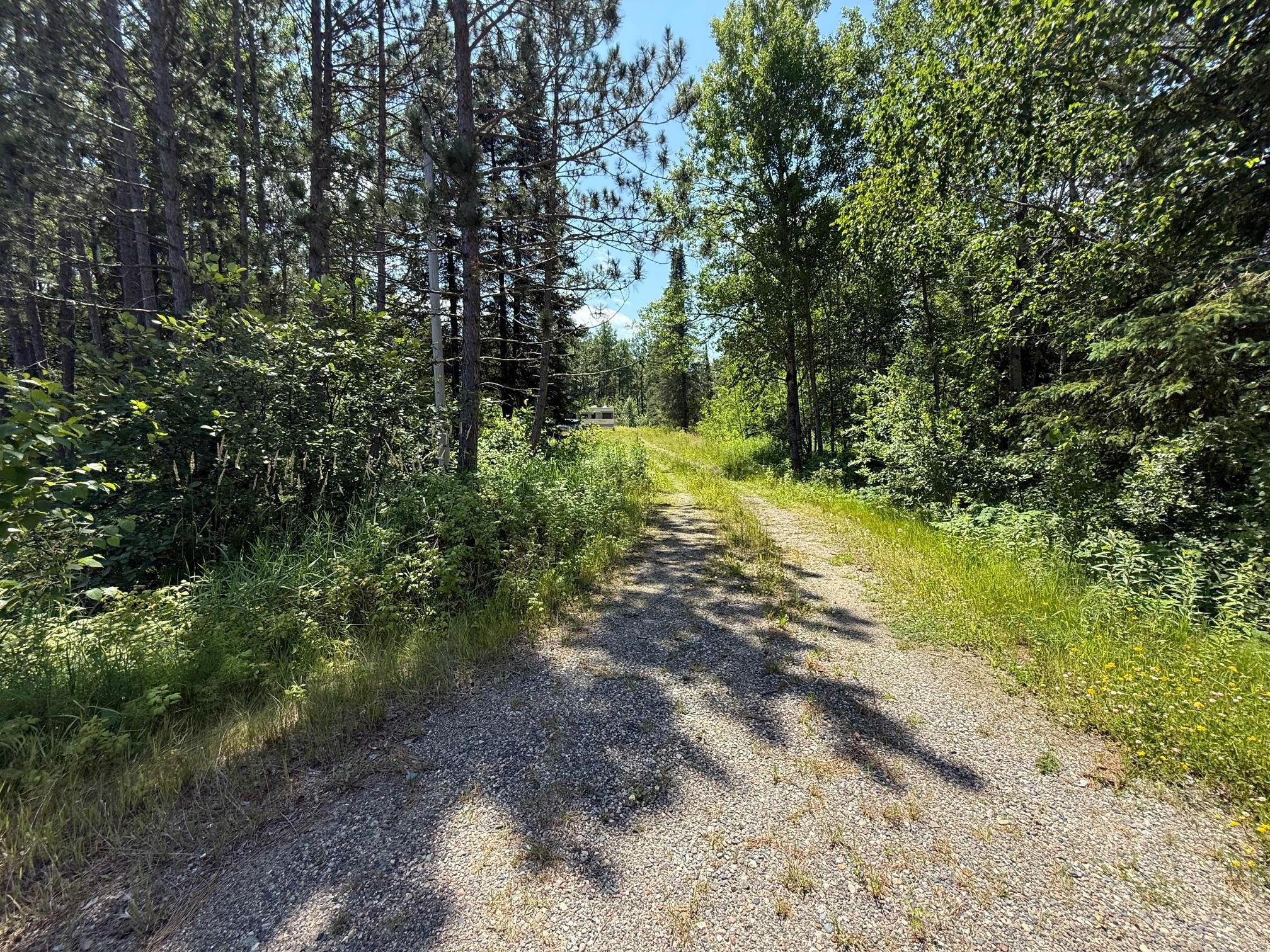 Driveway into the property