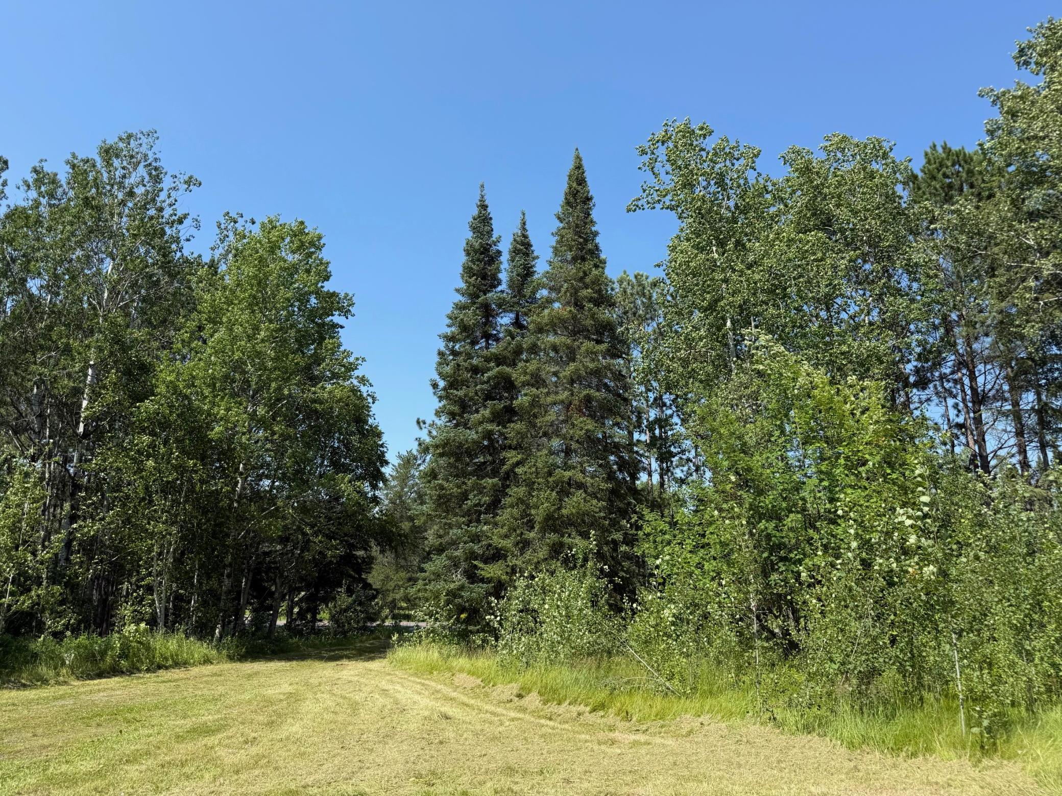 Lots of privacy, surrounded by trees