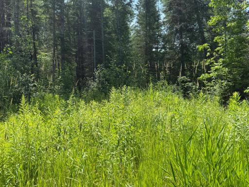36719 State Highway 65, Nashwauk, MN 55769