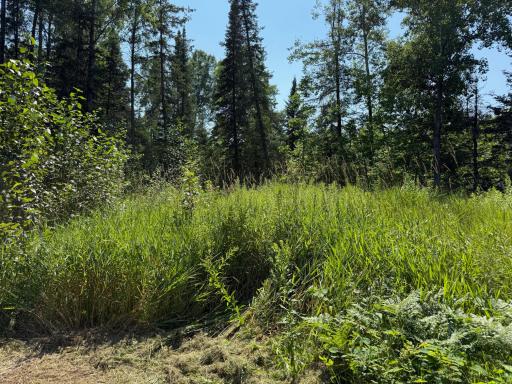 36719 State Highway 65, Nashwauk, MN 55769