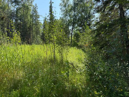 36719 State Highway 65, Nashwauk, MN 55769
