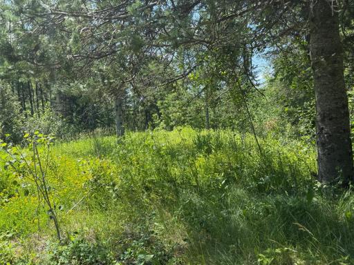 36719 State Highway 65, Nashwauk, MN 55769
