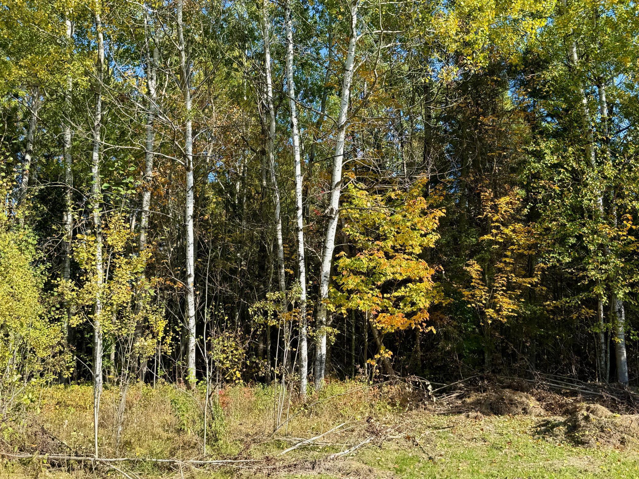 So much privacy, even in fall