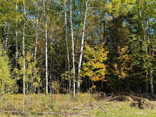 36719 State Highway 65, Nashwauk, MN 55769
