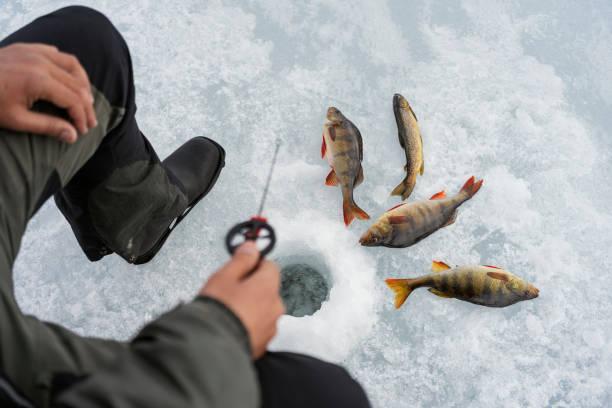 Find your favorite fishing spot and join in on the fun.